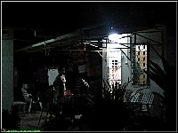 Mahonylaan - nr. 0114